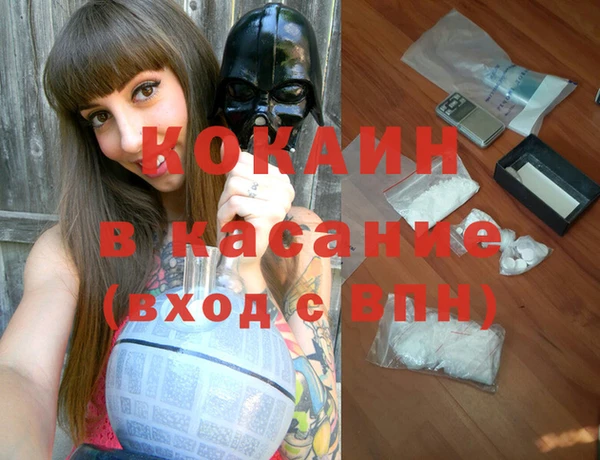 шишки Лиски