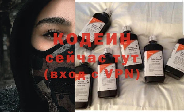 шишки Лиски