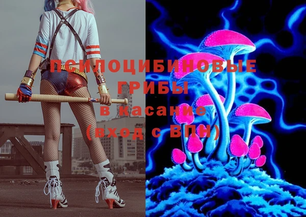 круглые Ладушкин